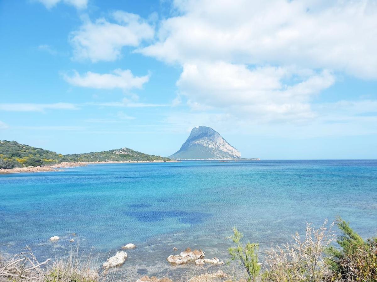 Vasiliki Holiday home Porto San Paolo (Sardinia)
