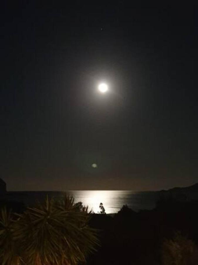 Vasiliki *
