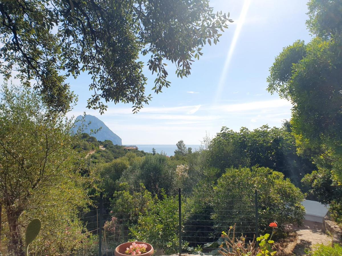 Casa de Férias Vasiliki