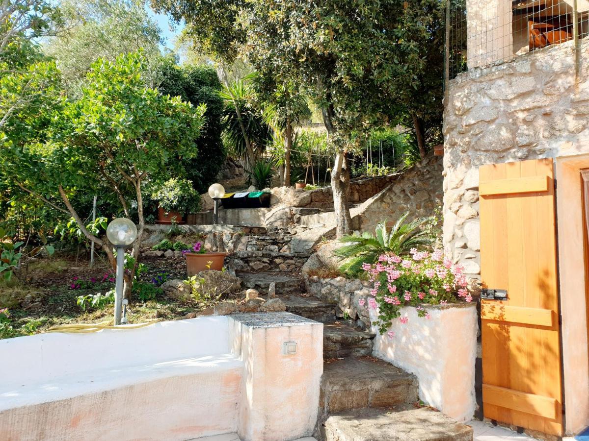 Vasiliki *