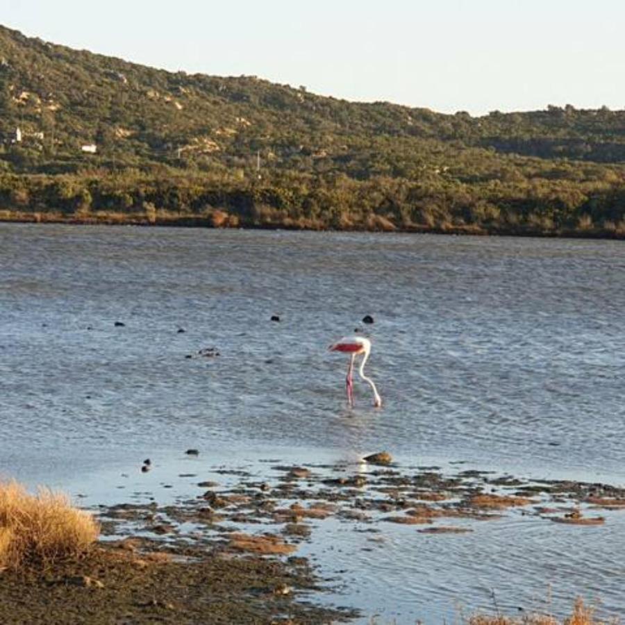 Casa vacanze Vasiliki *